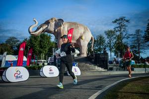 BIB: 
                            <button type="button" onclick="openModal(26541707)" class="btn btn-primary btn-sm float-right btn-popup" data-toggle="modal" data-target=".modal-high-quality">
                        <i class="fas fa-shopping-cart"></i> Add to Cart
                    </button>
                                            <button type="button" onclick="isThisMe(26541707, true)" class="btn btn-success btn-sm float-right btn-popup btn-isme hidden" data-toggle="tooltip" data-placement="bottom" title="นี่คือรูปของคุณใช่ไหม คลิกที่นี่เพื่อเอาเข้าอัลบั้ม">
                        <i class="fas fa-plus"></i> Add to album
                    </button>
                    <button type="button" onclick="isThisMe(26541707, false)" class="btn btn-warning btn-sm float-right btn-popup btn-isnotme hidden">
                        <i class="fas fa-ban"></i> Remove from album
                    </button>